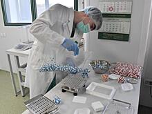 Останемся ли без лекарств: что происходит с рынком фармы в России после санкций