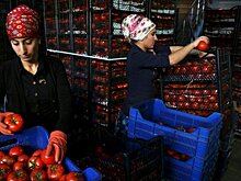 Путин вернет в РФ рабочих из Турции