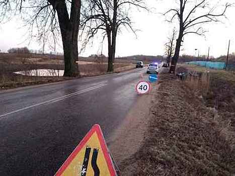 В Гусевском районе машина врезалась в дерево, 23-летний водитель скончался