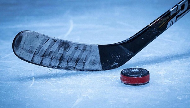 Команда «Ижсталь» уступила хоккейному клубу «Ростов» на выезде