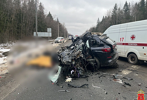 Машина превратилась в месиво: водитель погиб при столкновении с фурой в Ленобласти