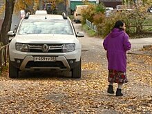 Как в свинарнике: двор на улице ДОС засыпало листьями