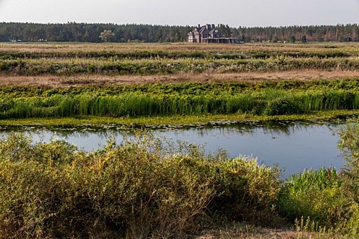 Суд обязал снести скандальный недострой на Усманке в Воронеже