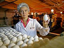 Москвичам напомнили о необходимости тепловой обработки утиных и гусиных яиц