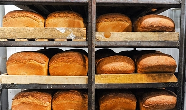 Роспотребнадзор проверил качество хлеба в Волгоградской области