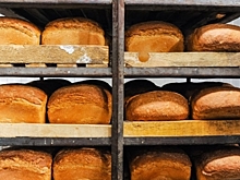 Роспотребнадзор проверил качество хлеба в Волгоградской области