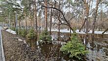 ​В Екатеринбурге затопило недавно отремонтированную Зеленую рощу