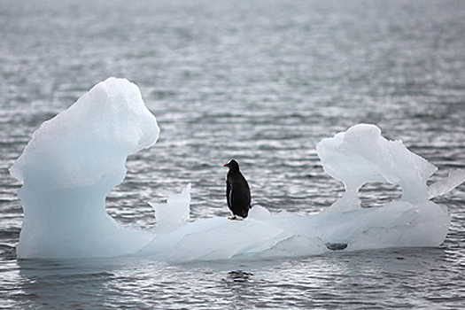 В Антарктиде найдены признаки грядущей катастрофы