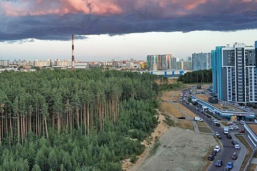 В Петербурге суд признал Шуваловский лес рекреационной зоной