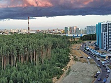 В Петербурге суд признал Шуваловский лес рекреационной зоной