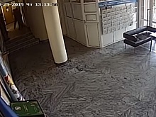 Изгнанный Зеленским «разбойник» побил беженца