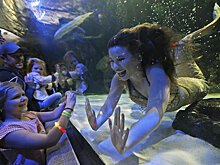 10.59: какой была бы жизнь кыргызстанцев, если бы мы не умели врать