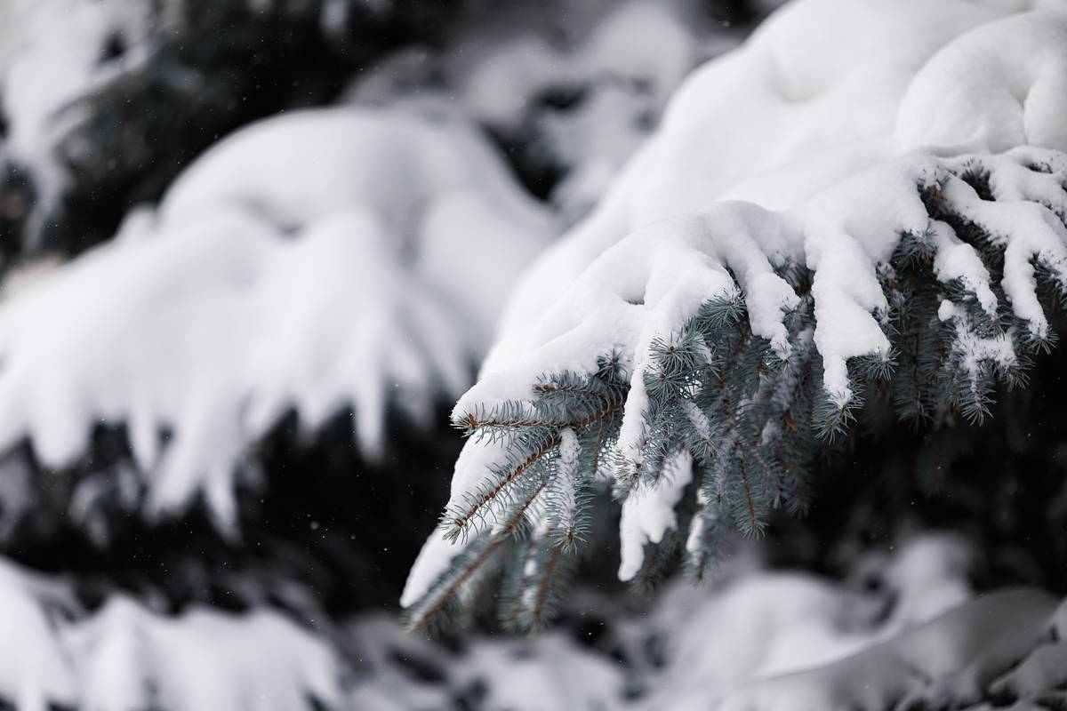 На Камчатке пропали восемь туристов
