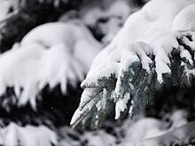 На Камчатке пропали восемь туристов