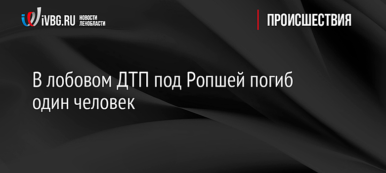 В лобовом ДТП под Ропшей погиб один человек