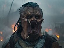 Назван самый популярный фильм у пиратов на новогодних праздниках