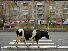 Тест: угадайте по фото — Россия или заграница?