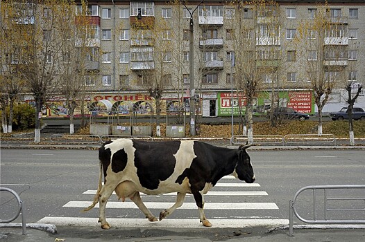 Тест: угадайте по фото — Россия или заграница?