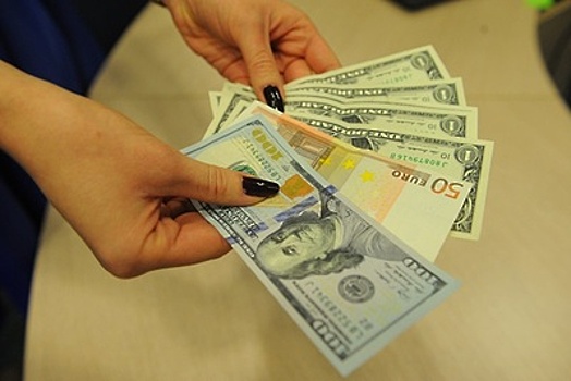 Минфин планирует закупить в феврале рекордный объем валюты