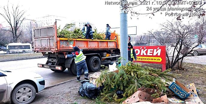 Непроданные елки и сосны отправили на корм животным в Ростовский зоопарк