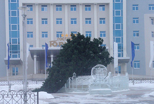 В столице Ямала городскую ель сдул ветер