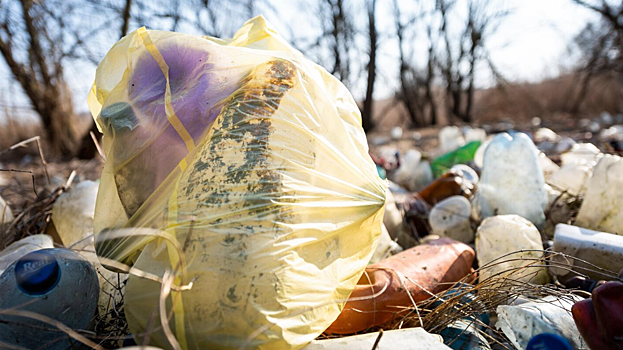 Прокуратура обязала мэра Искитима решить проблемы с мусорными контейнерами