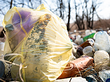 Прокуратура обязала мэра Искитима решить проблемы с мусорными контейнерами