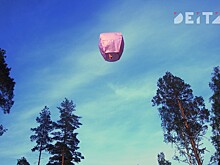 Лично или доставкой? Исследователи установили, как россияне предпочитают дарить подарки