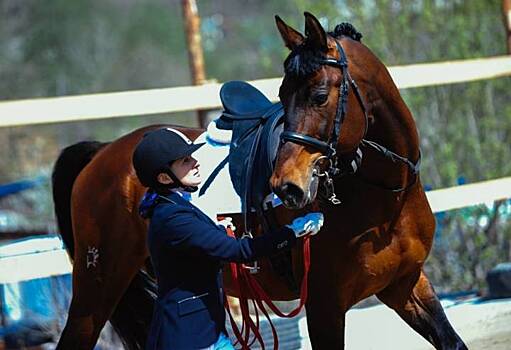 Владивосток послужит точкой старта международного конного забега