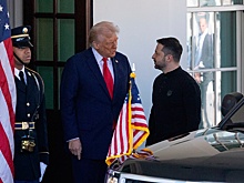 Politico: Зеленский проходил курс общения с Трампом до встречи с ним