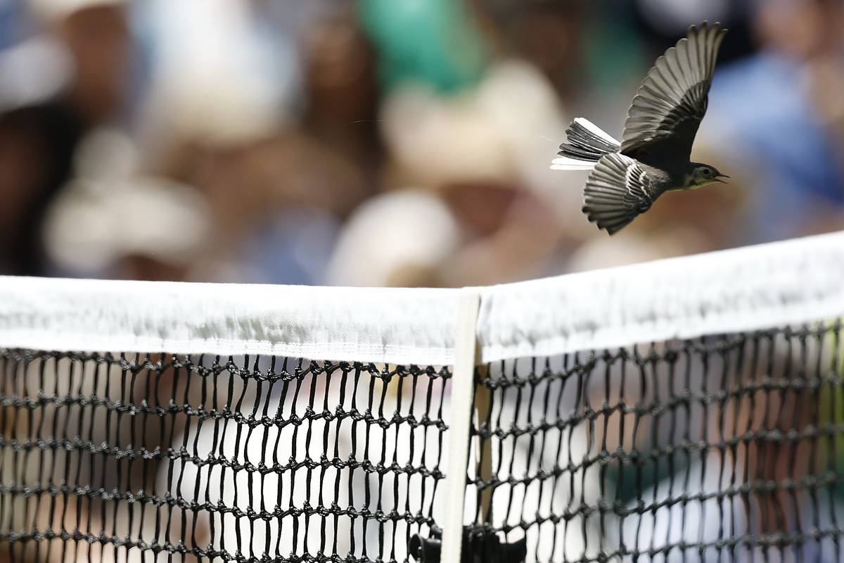 ����������&nbsp; ���������� ������������������ ��12���������������� �����