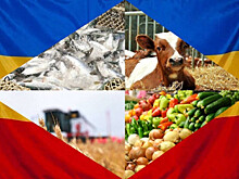 Амурская область и Приморье стали лидерами сельхозпроизводства в ДФО