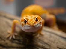 Какие праздники отмечают 14 августа