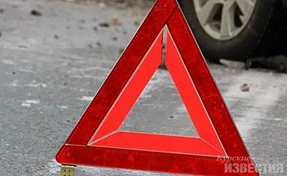 В Курской области легковушка «улетела» в кювет