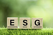 52% представителей МСП высказались за национальные отраслевые (в том числе ESG) стандарты — опрос