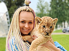 Экзотические домашние животные спортсменов: кого держат Овечкин, Тайсон и Бэкхем