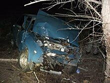 На трассе под Саратовом насмерть разбился молодой водитель