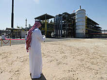 В Пакистане заявили о закрытии до 35% потребностей в сырой нефти при заключении сделки с РФ