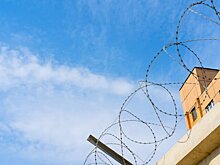 В Германии призвали сажать в тюрьму за антисемитские высказывания и поддержку ХАМАС