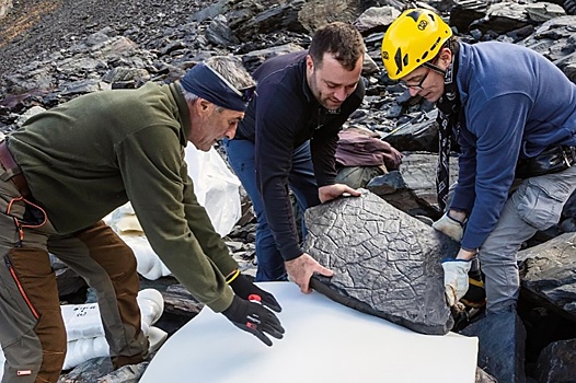 В итальянских Альпах нашли следы динозавров возрастом 200 миллионов лет