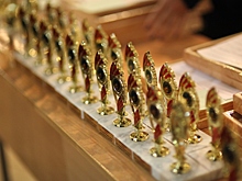 Ученица Физико-технического лицея Ирина Иванова: «Экология – перспективная наука»