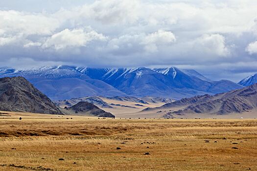 Россияне стали чаще отдыхать в Монголии