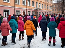 Бабушки-вахтёры не помогут: как защитить российские школы от нападений?