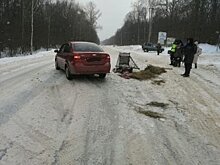 На дороге в Башкирии столкнулись иномарка и гужевая повозка