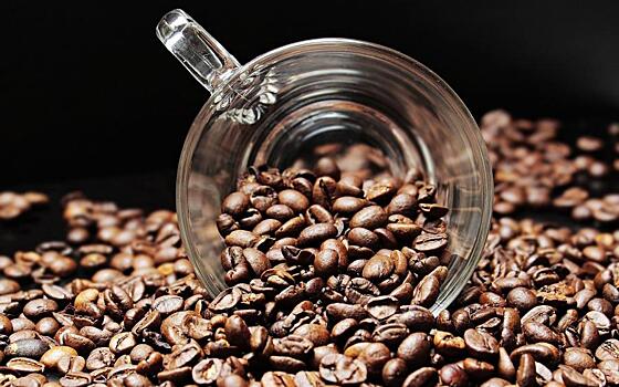 Кофе может стать дефицитным продуктом