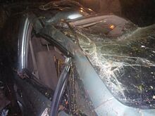 Водитель «Шевроле» погиб в ДТП в Юкаменском районе Удмуртии