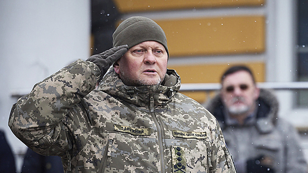 Залужный раскритиковал увольнение Зеленским всех областных военкомов