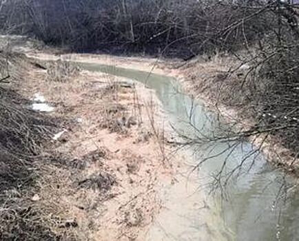 Экоактивисты подозревают завод «Фосфорит» в загрязнении фосфором притока Луги