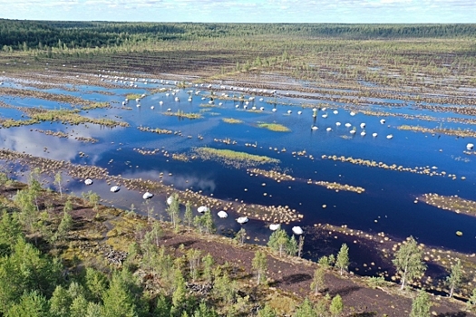 Кладовые природы: зачем России нужно вторичное обводнение ранее осушенных торфяников?