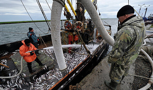 Против морских портов "Нацрыбресурсы" завели уголовные дела